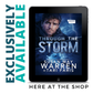 Through the Storm Ebook (Montana Rescue: New Watch - Book 3)